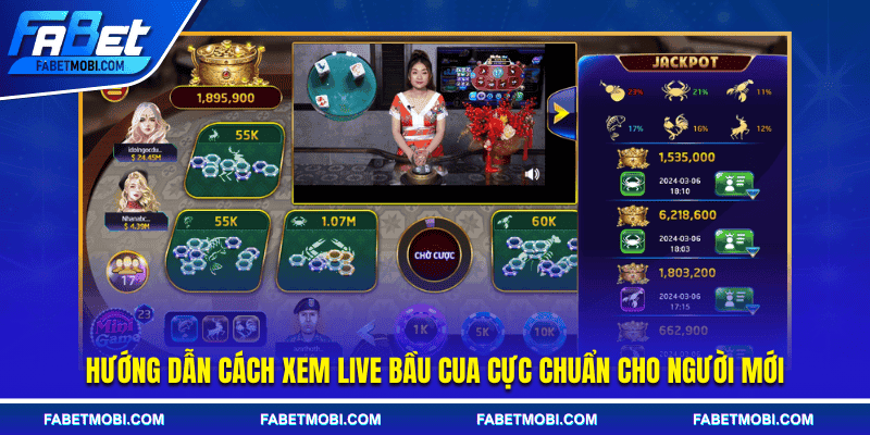 Hướng dẫn cách xem live bầu cua cực chuẩn cho người mới