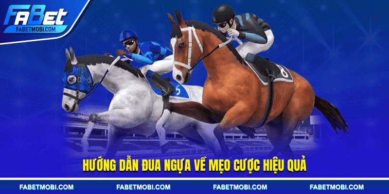 Hướng dẫn đua ngựa về mẹo cược hiệu quả