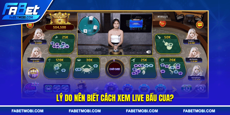 Lý do nên biết cách xem live bầu cua?
