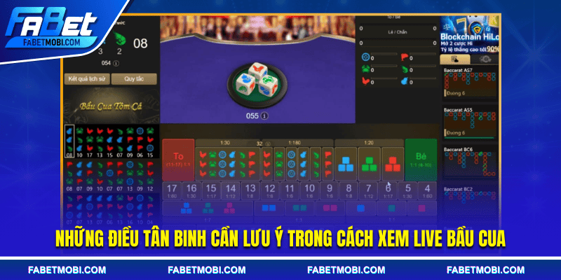 Những điều tân binh cần lưu ý trong cách xem live bầu cua